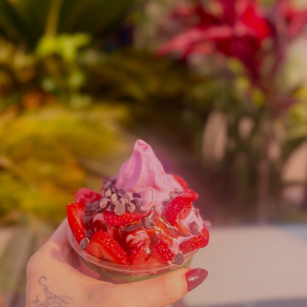 Hand holding a cup of pink frozen yogurt topped with strawberries and chocolate chips.