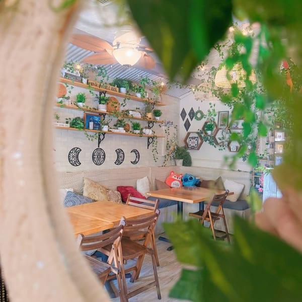 Cozy cafe interior with wooden tables, cushioned benches, and shelves adorned with plants and decor.