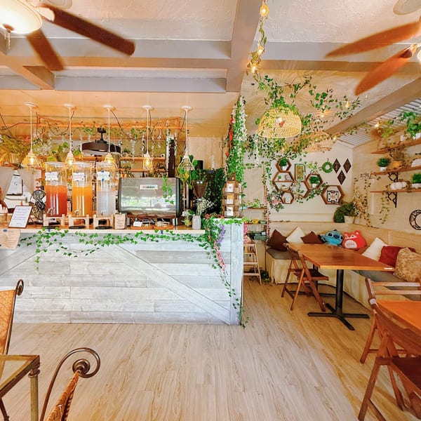 Journey Cafe interior with a counter, drinks, and seating, adorned with hanging plants and warm lighting.